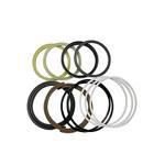 2438R251R100 SEAL KIT